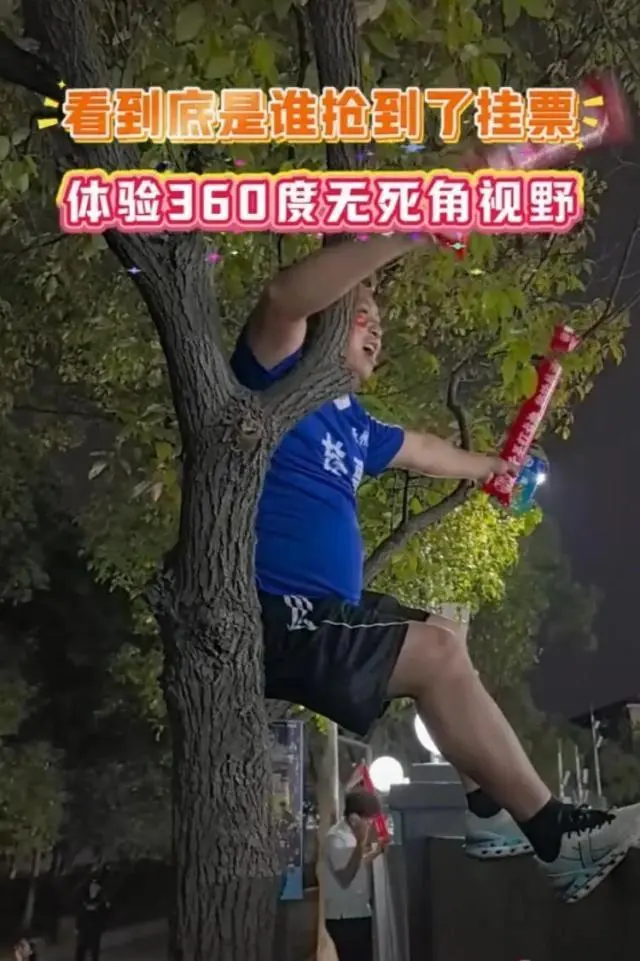 tenan, 挂票