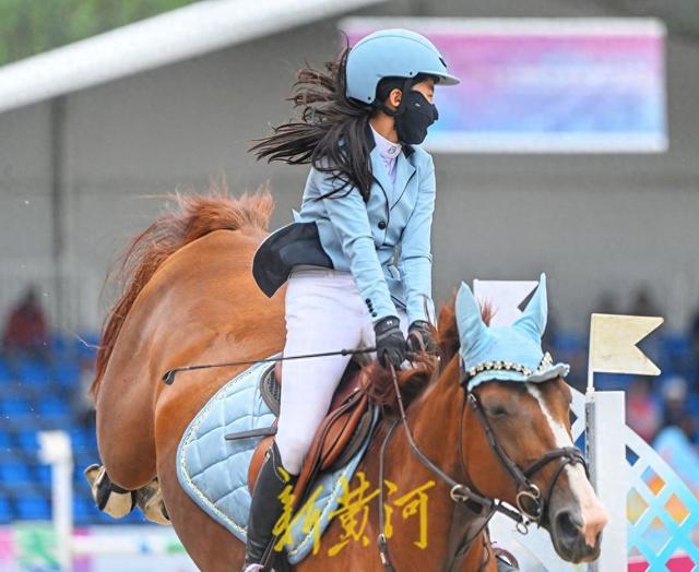 本届赛事为, AA, 泉水化骏马 本届赛事为, AA, 泉水化骏马